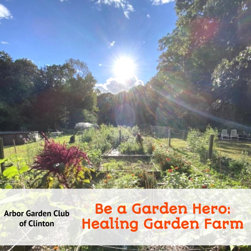 Be a Garden Hero