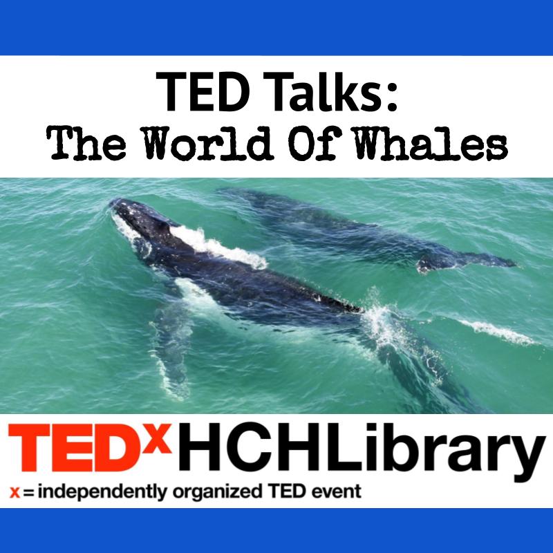 TED Talks: The World Of Whales