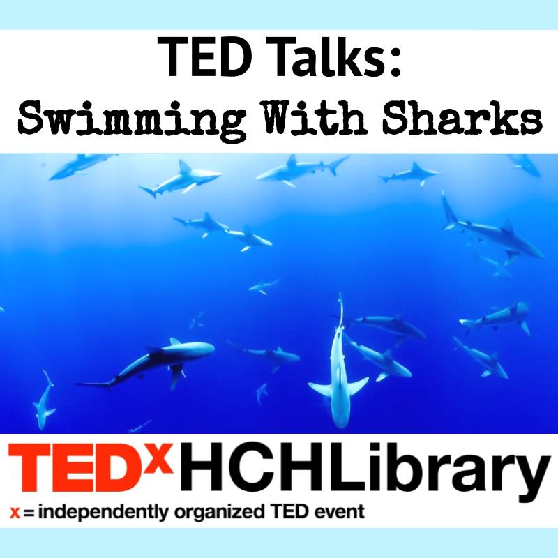 TED Talks: Swimming With Sharks