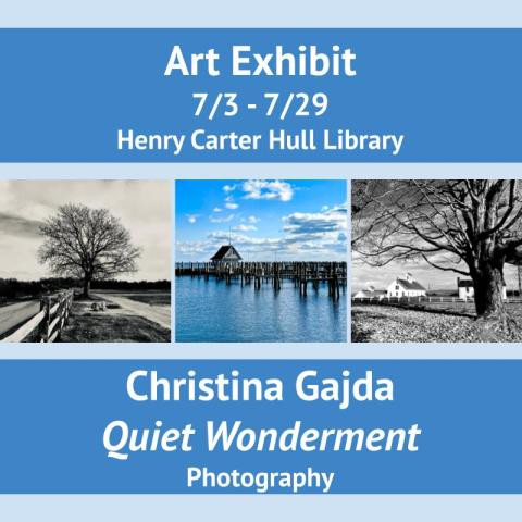 Art Exhibit: Quiet Wonderment, Christina Gajda