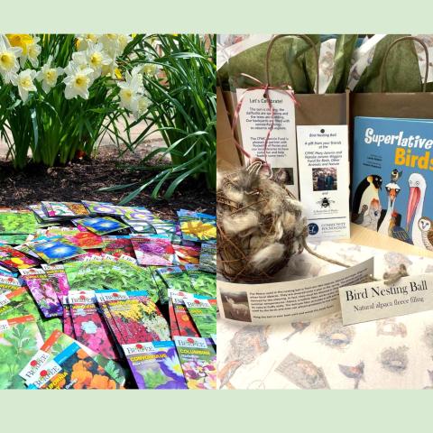 Earth Day Giveaway - Seeds & Bird Nesting Balls