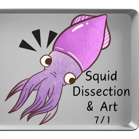 Purple squid illustration 