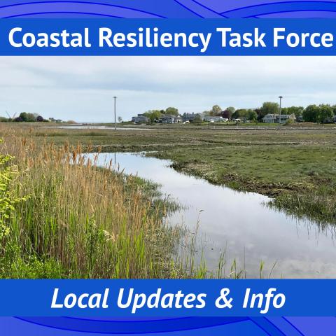 Coastal Resiliency Task Force