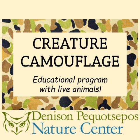 Camouflage background with creature camouflage title 