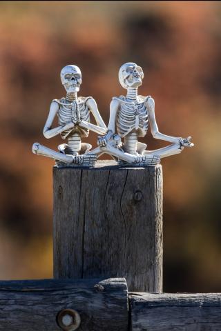 skeletons meditating