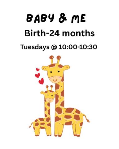 adult and baby giraffe 