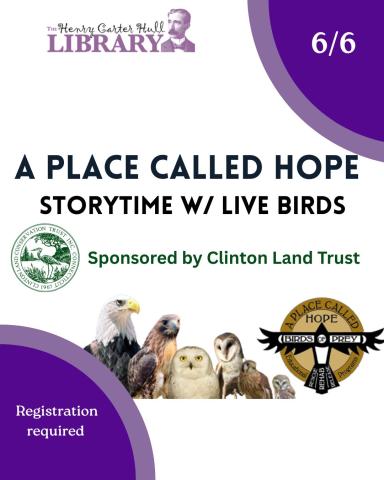 A Place Called Hope Logo w/ birds 