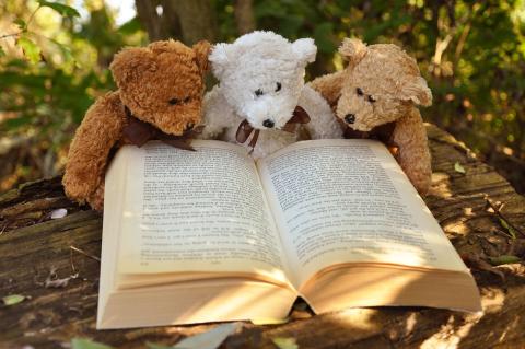 Teddy Bears reading