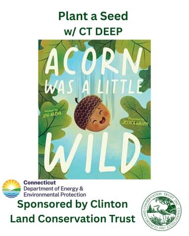 Cover of picture book called Acorn is a Little Wild 