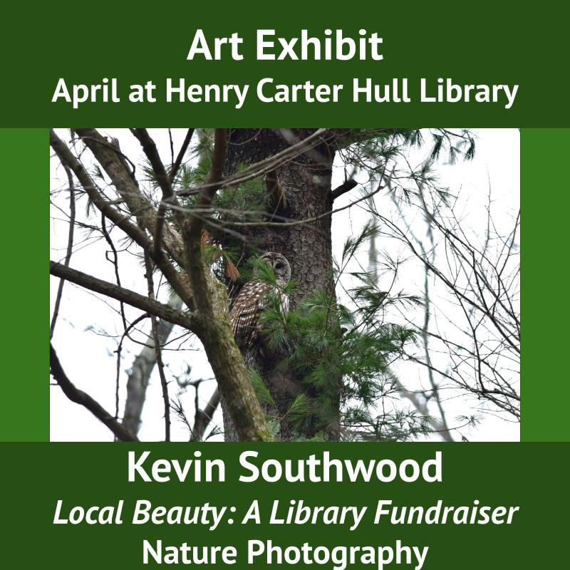 Art Exhibit - Local Beauty: A Library Fundraiser