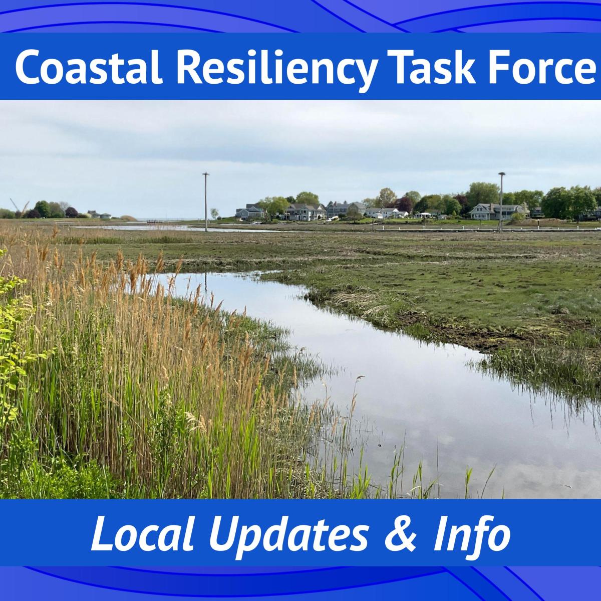 Coastal Resiliency Task Force