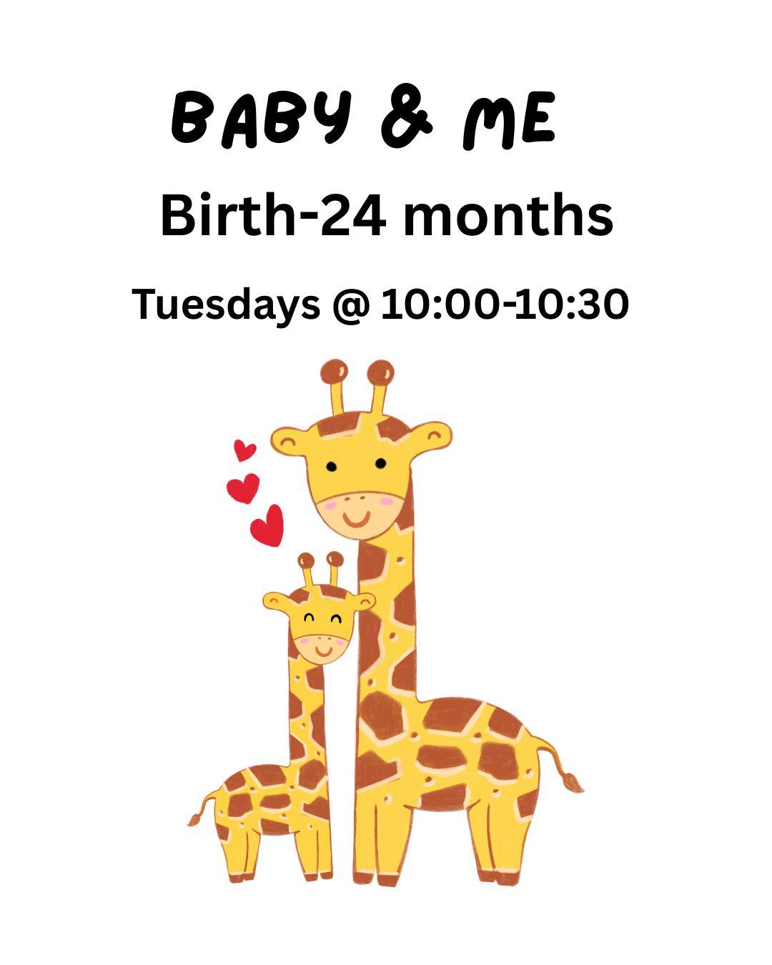 adult and baby giraffe 